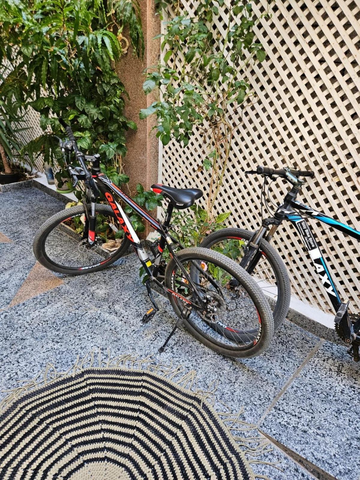 Gina Motel دهب المظهر الخارجي الصورة